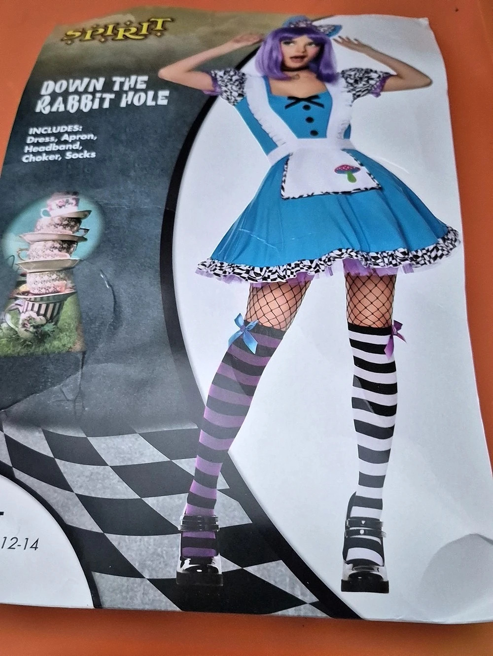 Spirit Halloween Down the Rabbit Hole Set Blue & Black 12-14